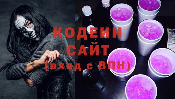 PSILOCYBIN Вяземский