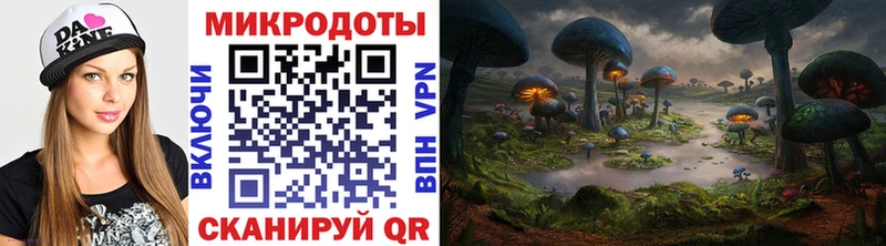 blacksprut tor Липецк Псилоцибиновые грибы Psilocybine cubensis