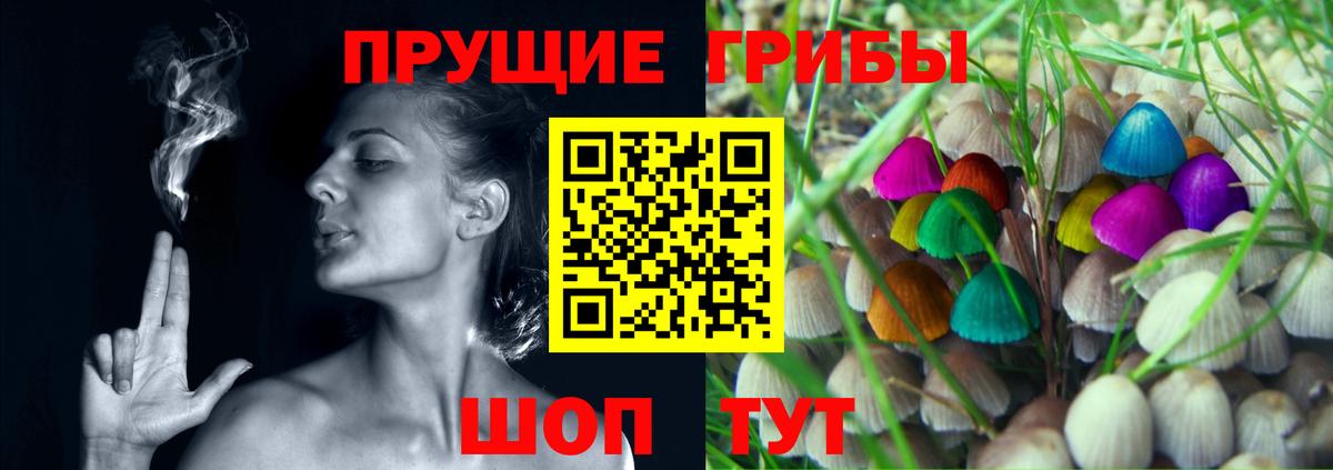 Галлюциногенные грибы мицелий Липецк